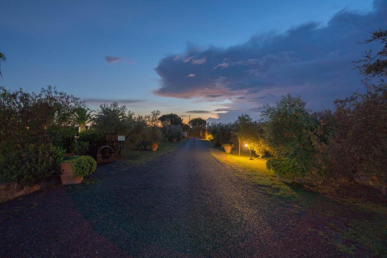 Villa Le Macine à Cecina  Extérieur photo