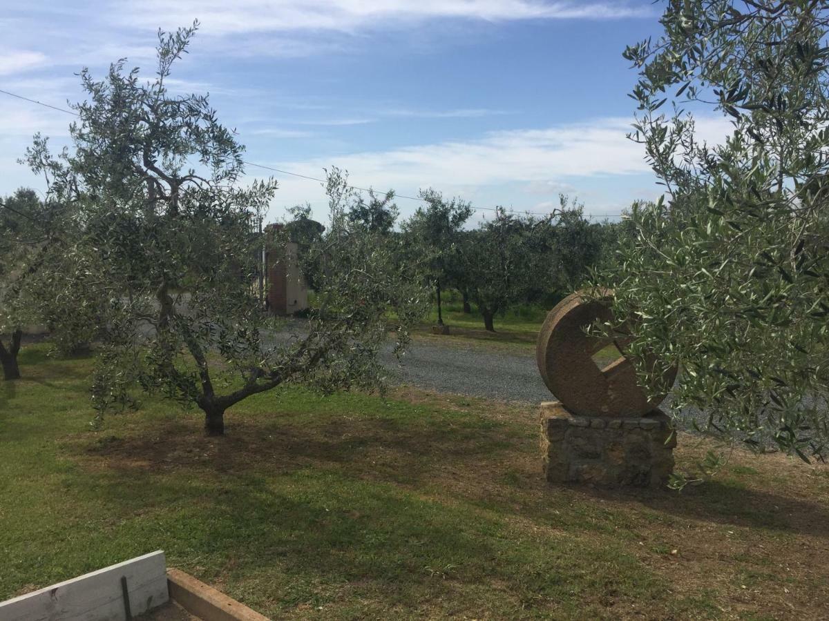 Villa Le Macine à Cecina  Extérieur photo