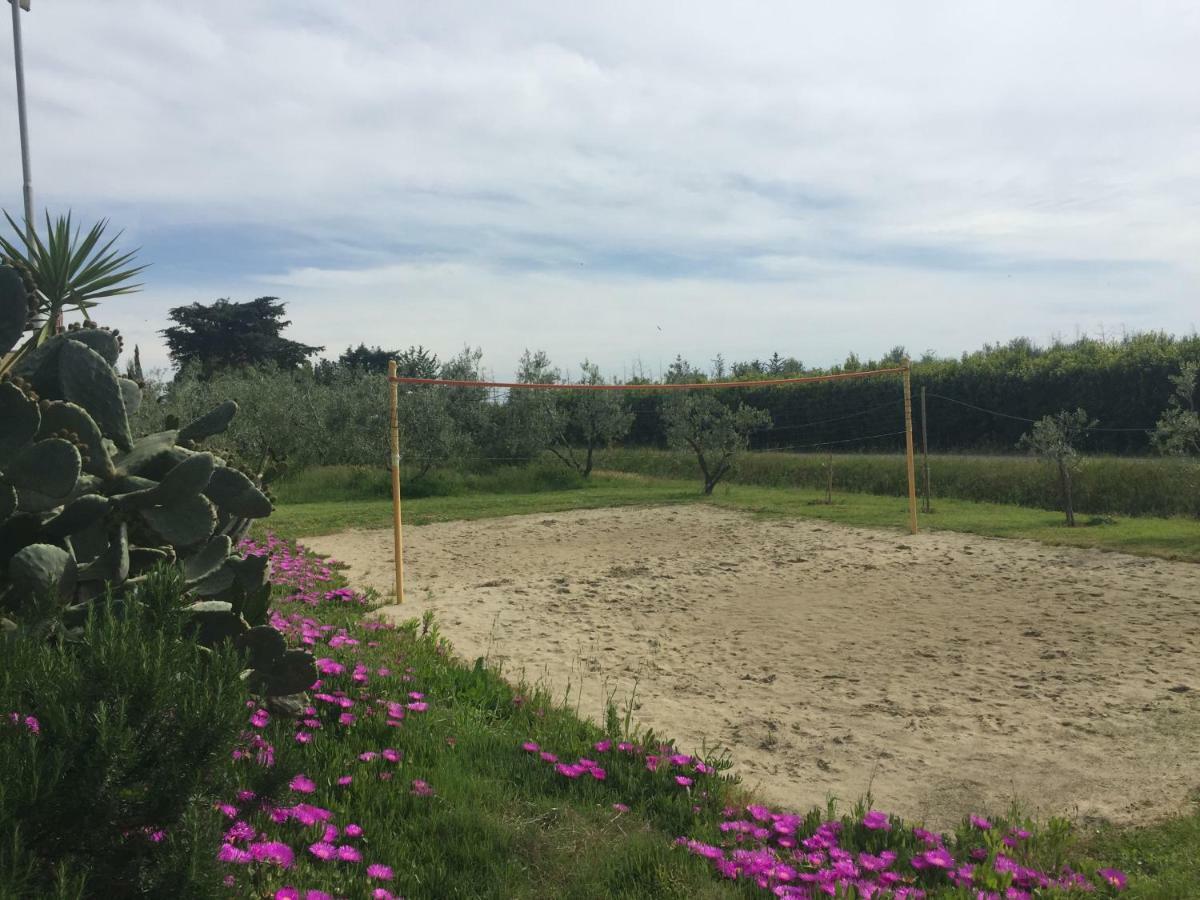 Villa Le Macine à Cecina  Extérieur photo