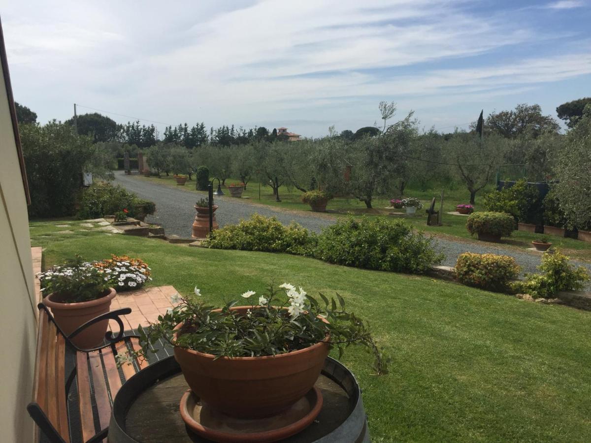 Villa Le Macine à Cecina  Extérieur photo