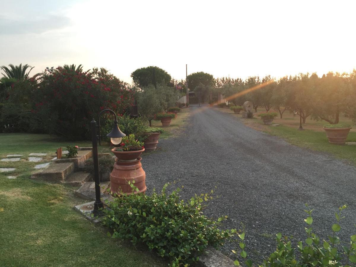 Villa Le Macine à Cecina  Extérieur photo